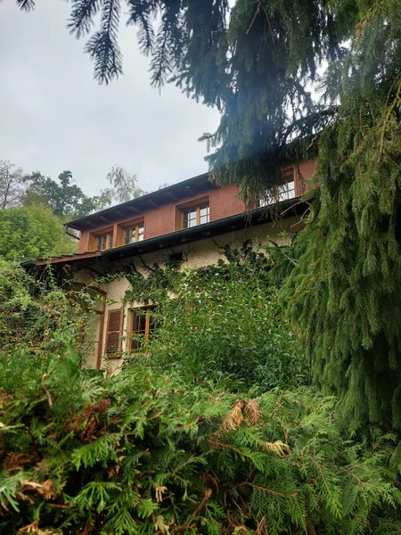 Maison à louer, 9.5 pièces, 251 m², Burgdorf