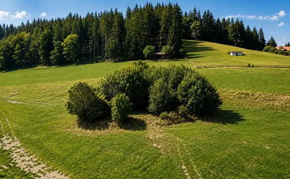 Exklusive Wohnlage mit Weitblick in Speicher - Photo 4