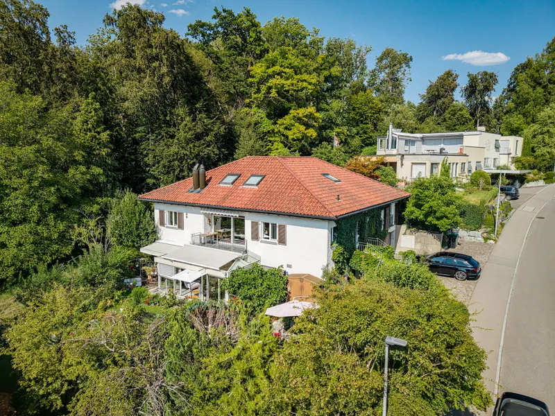 OPPORTUNITY FOR BUILDING LOTS IN FELDMEILEN - Photo 5