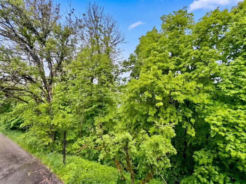 En exclusivité: Maison individuelle, à rénover aux Brenets - Photo 4