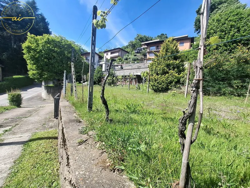 SCHÖNES BAUGRUNDSTÜCK MIT SEEBLICK IN SONVICO - Photo 3