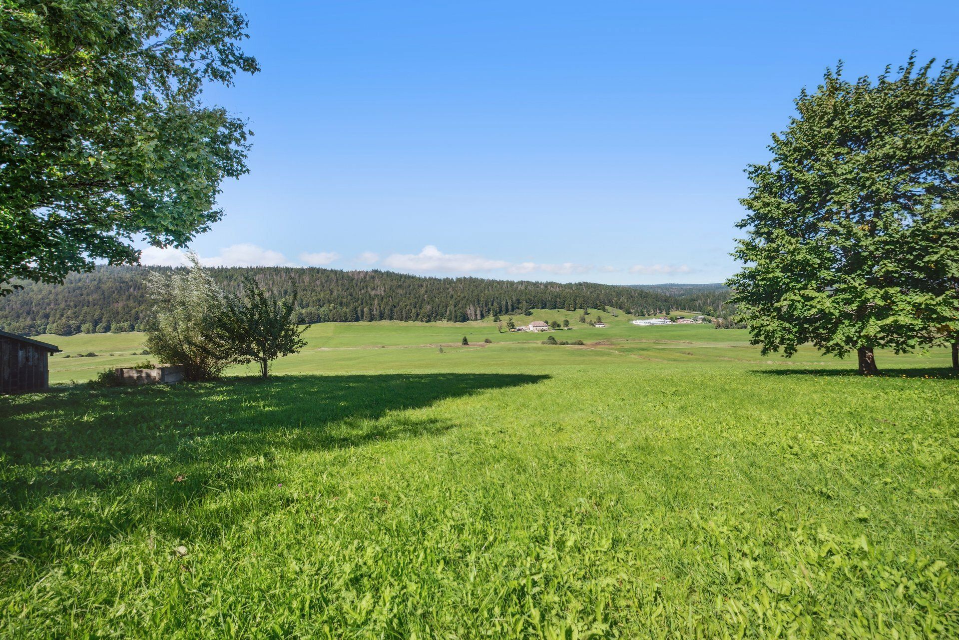 Ferme du XVIIe siècle rénovée au cœur de la Vallée de Joux