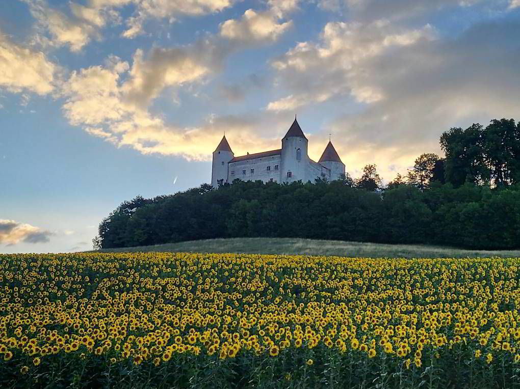 Villa avec potentiel et vue imprenable sur le château