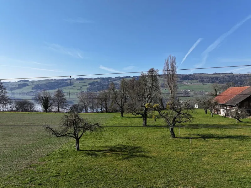 «Turmfalke» in Gelfingen: Wohn- und Lebensgenuss am Baldeggersee. - Photo 2