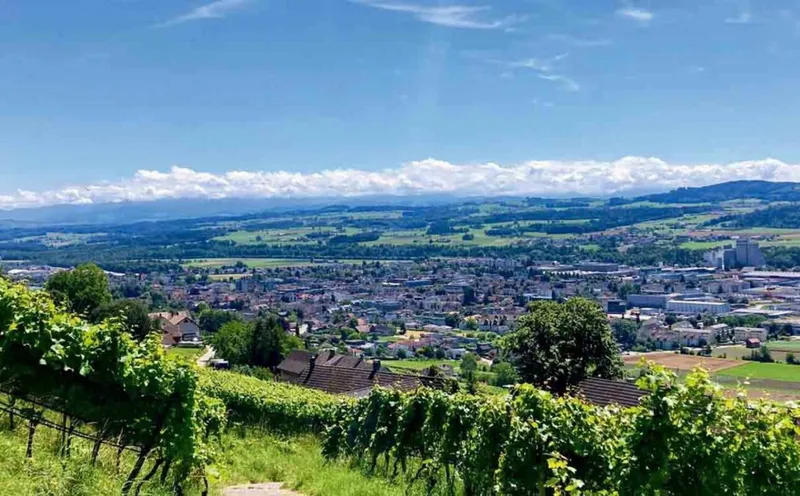 Appartement de 4.5 pièces en vente à Weinfelden - 179 m² - Photo 5