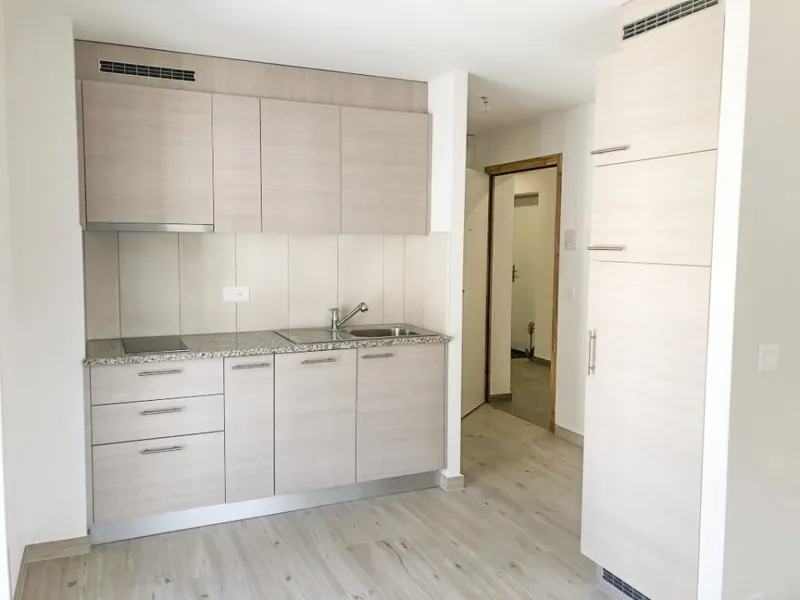 Nouveau Studio loué à 2 pas du centre , Gare CFF et IKEA - Photo 3