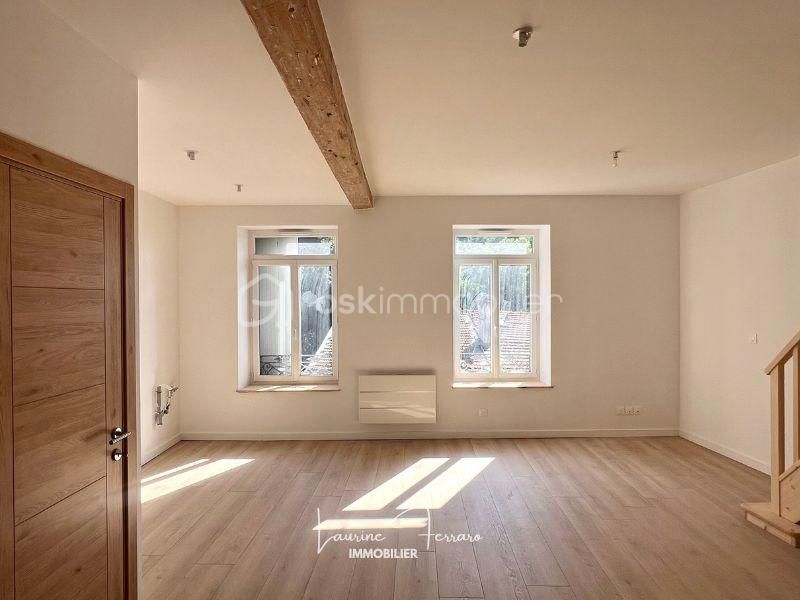 RARE - Duplex lumineux entièrement neuf - 51 rue Victor Faugier, Vienne