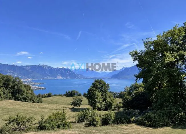 Maison à vendre, 8.5 pièces, Chardonne
