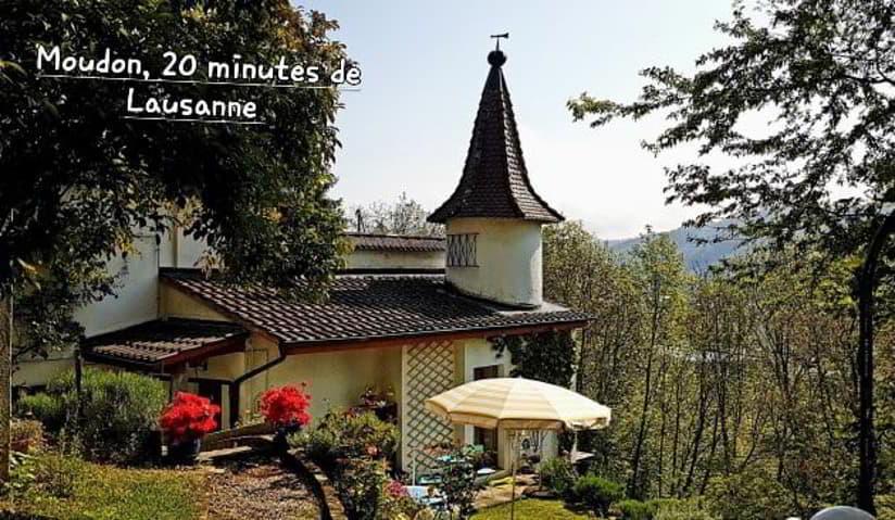 20 minutes from Lausanne, for nature lovers, detached villa for sale