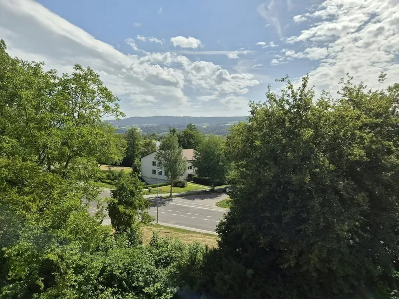 Erstbezug am Greifensee - zwei hochwertige 4½-Zimmerwohnungen in Uster - Photo 3
