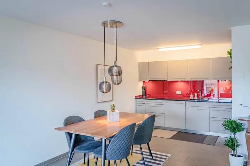 APARTMENT WITH AN 85-SQUARE-METER TERRACE NEAR LAKE HALLWIL - Photo 5