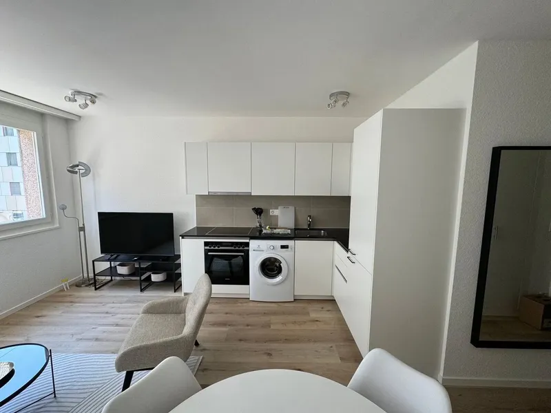 Design One-Bedroom Apartment in the Heart of Geneva Paquis! - Photo 3