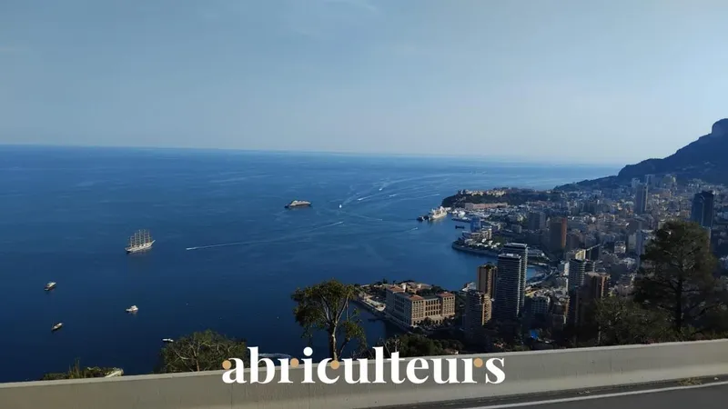 Appartement avec beaux volumes à vendre avec balcon privatif – Roquebrune-Cap-Martin (06190) - Photo 2