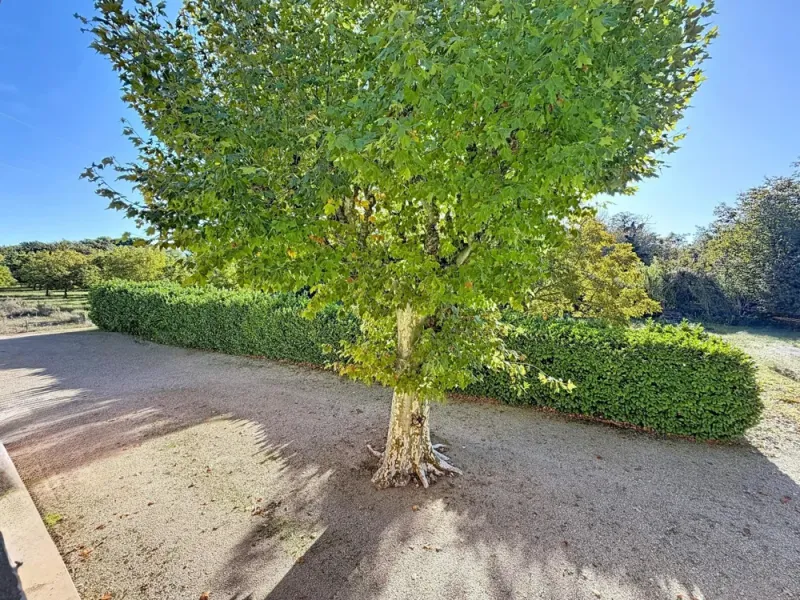 Alleins, maison de campagne 130m² sur 1,7hectares - Photo 4