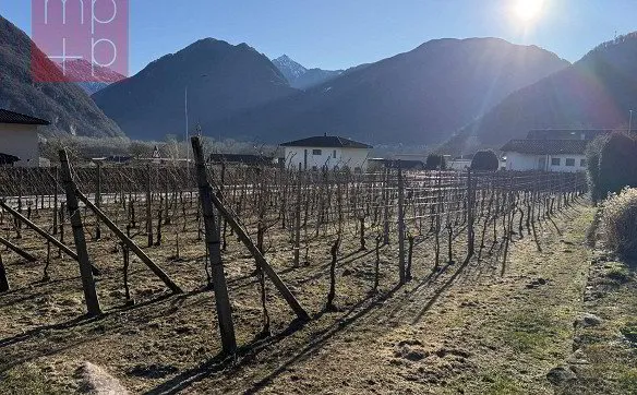Terreno per costruire - Gnosca - Photo 3
