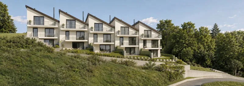 Maison à vendre, 5.5 pièces, 145 m², Moudon