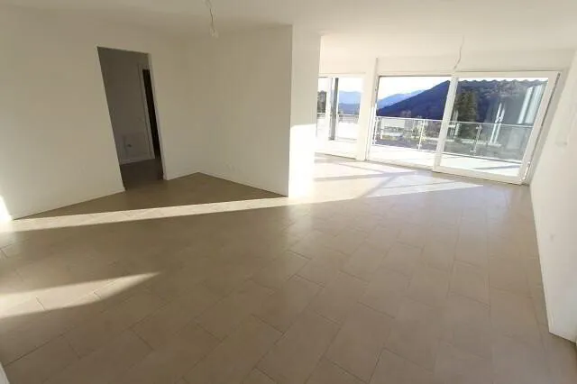 4 1/2-Zimmer-Neubau-Wohnung mit Aussichtsterrasse - Photo 5