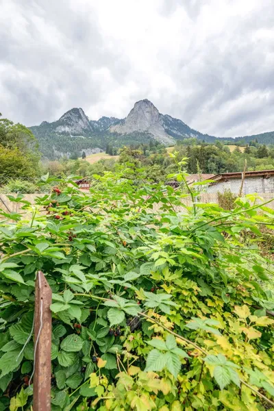 Gemütliche Haushälfte mit Garten und Potential - Photo 3