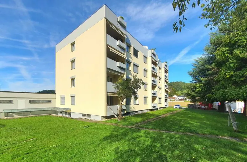 Appartement à vendre, 4 pièces, 95 m², Reiden
