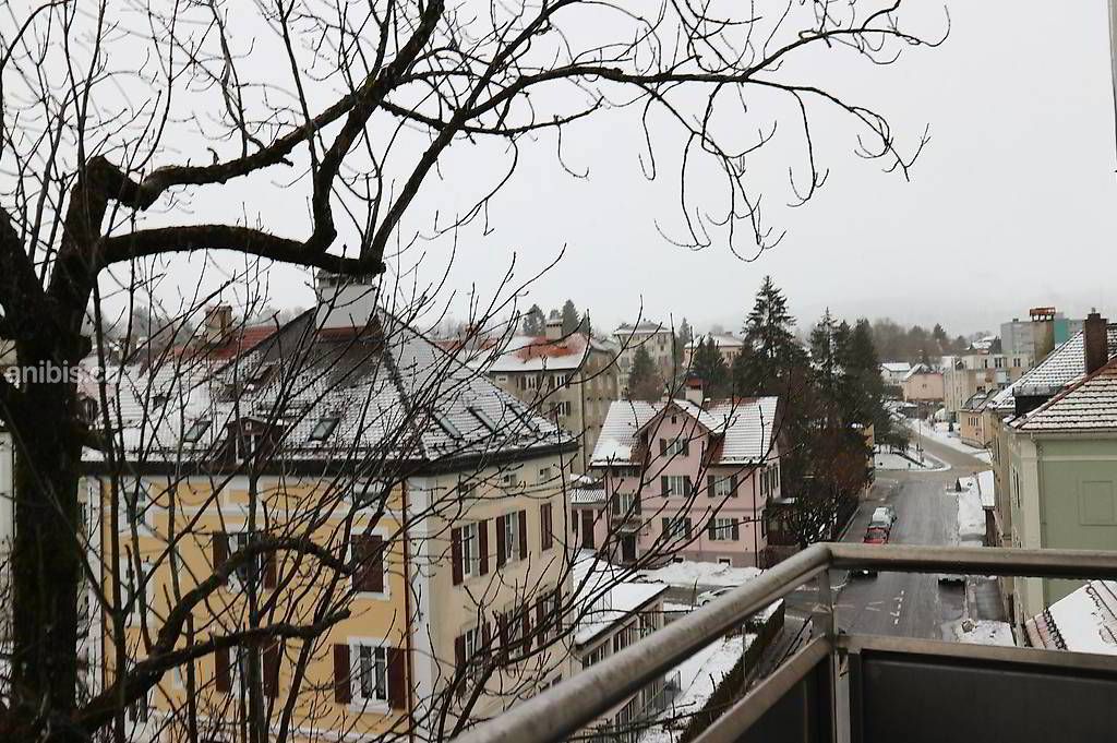 2 pièces et 2,5 pièces avec balcon