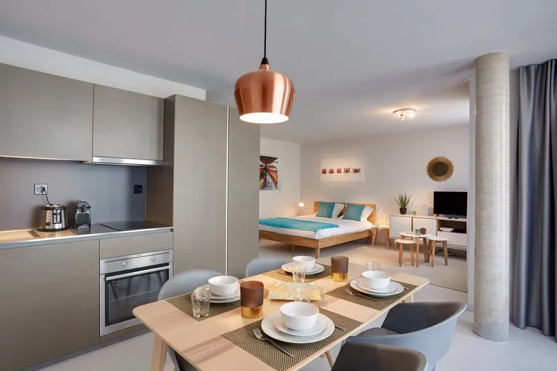 Studio meublé Deluxe/Furnished Deluxe studio in Nyon - Photo 4