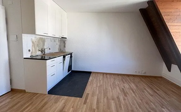 Renovierte 2-Zimmerwohnung im Herzen von Luzern - Photo 4