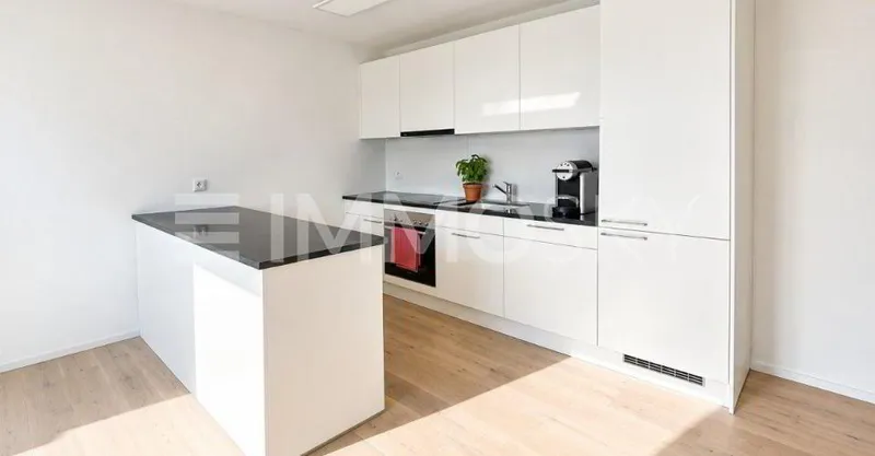 Appartement 2.5 pièces - Photo 2