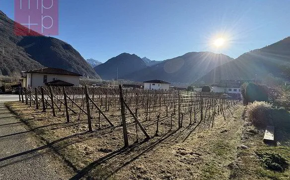 Terreno per costruire - Gnosca - Photo 5