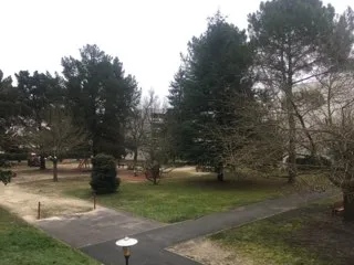 T4 - Photo 5