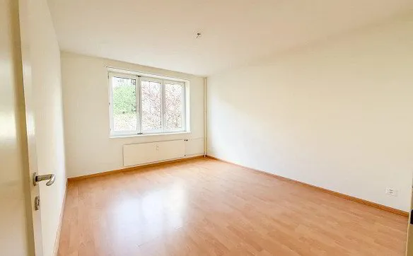 3-Zimmerwohnung mit Balkon ins Grüne in Basel mieten - Photo 4