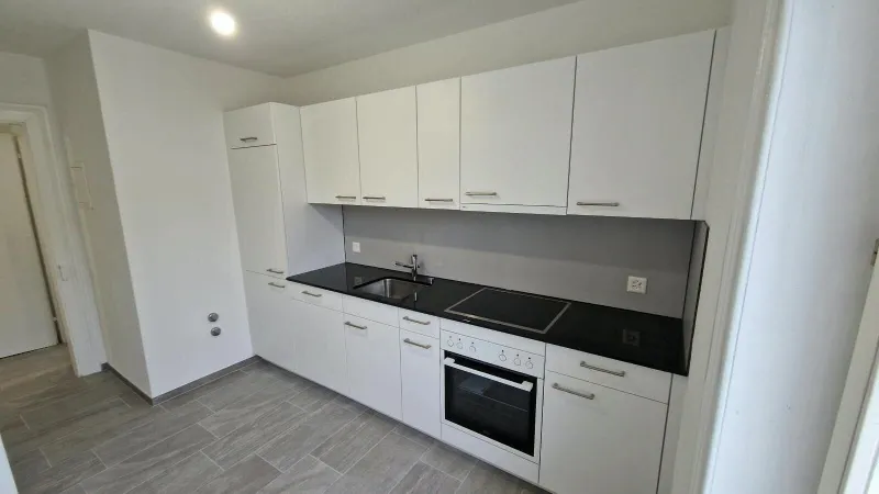 Appartement à louer, 4 pièces, Rorschach