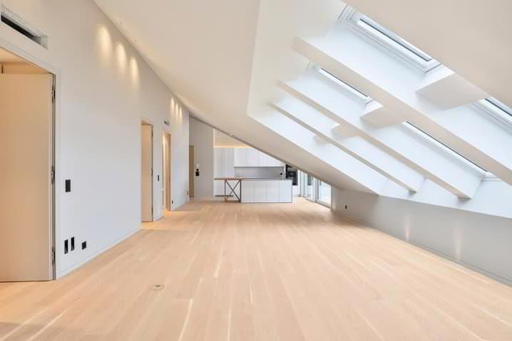 Large 4.5 room luxury apartment in new attic