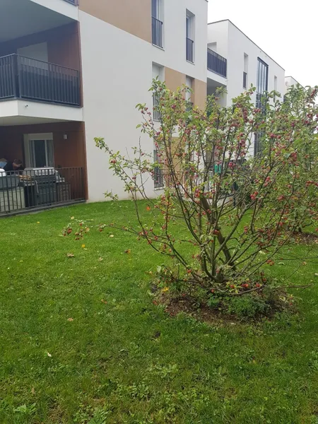 T3 - Photo 2