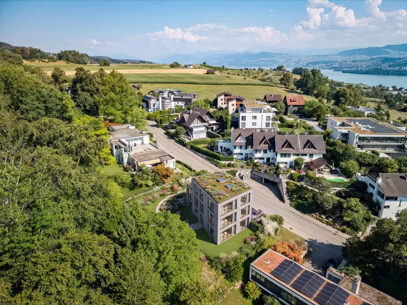 OPPORTUNITY FOR BUILDING LOTS IN FELDMEILEN - Photo 2
