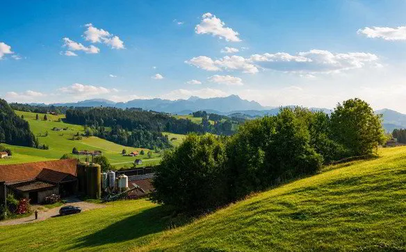 Exklusive Wohnlage mit Weitblick in Speicher - Photo 2