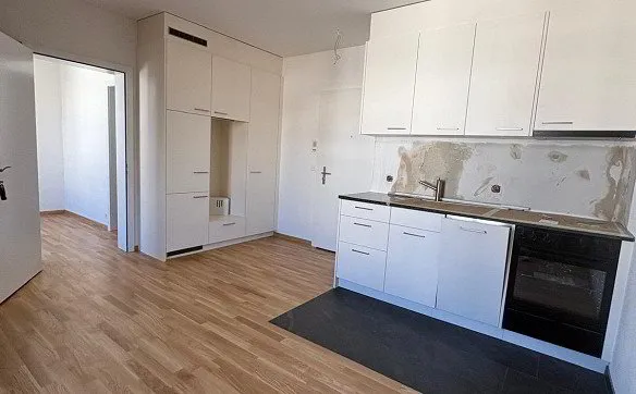 Renovierte 2-Zimmerwohnung im Herzen von Luzern - Photo 3