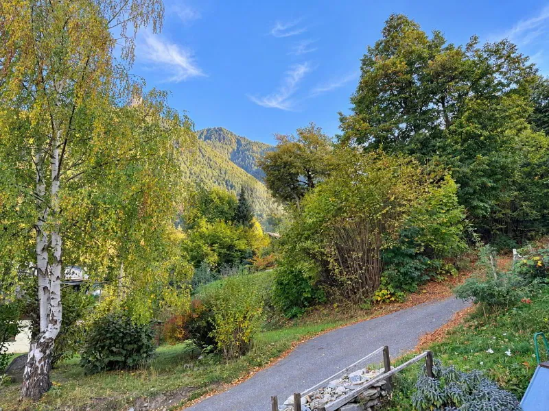 CHARME ALPIN ET POTENTIEL DAMÉNAGEMENT - Photo 3