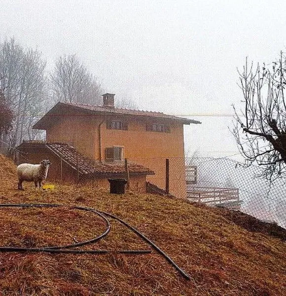 Maison individuelle en vente à Corticiasca - Réf 04032110186251 - Photo 2