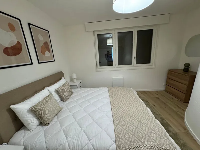 Design One-Bedroom Apartment in the Heart of Geneva Paquis! - Photo 5
