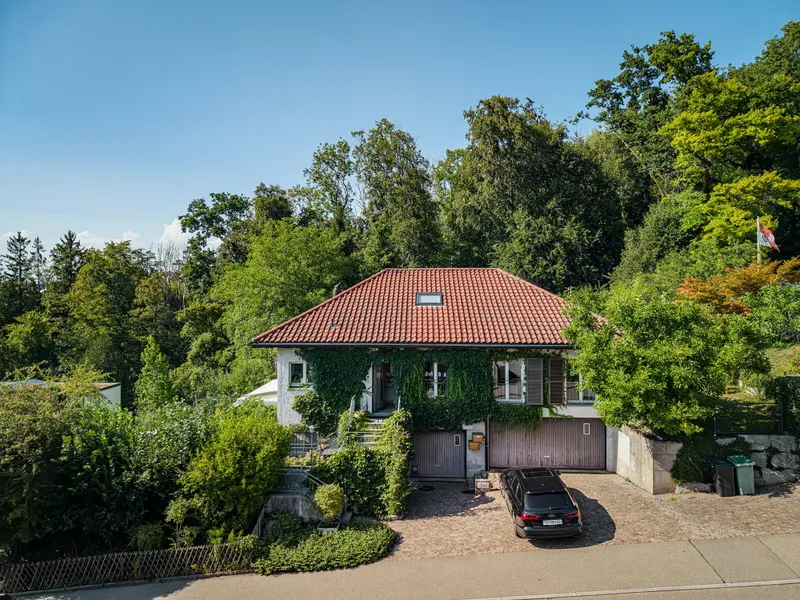 OPPORTUNITY FOR BUILDING LOTS IN FELDMEILEN - Photo 3