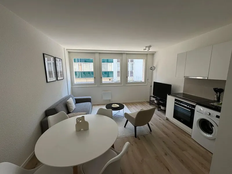 Design One-Bedroom Apartment in the Heart of Geneva Paquis! - Photo 2