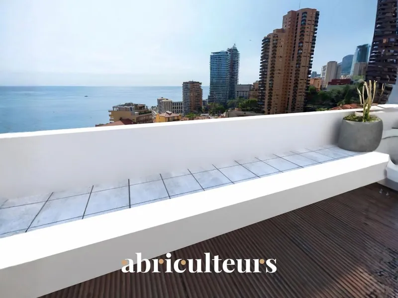 Appartement avec beaux volumes à vendre avec balcon privatif – Roquebrune-Cap-Martin (06190) - Photo 3