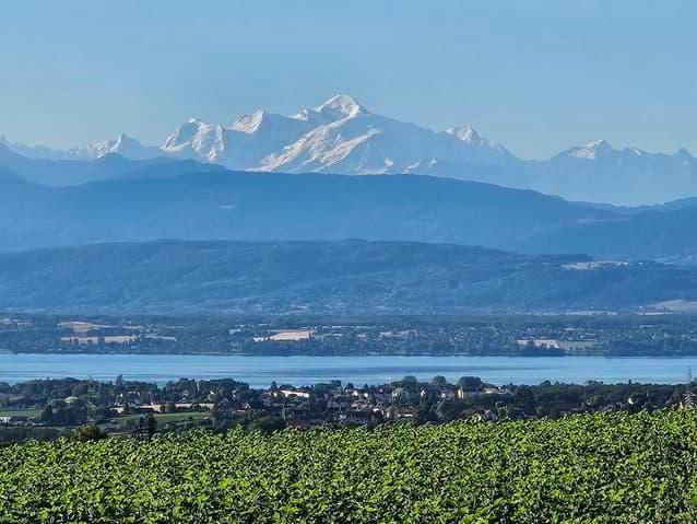 Exclusivité! Rare, maison à rénover avec vue imprenable.