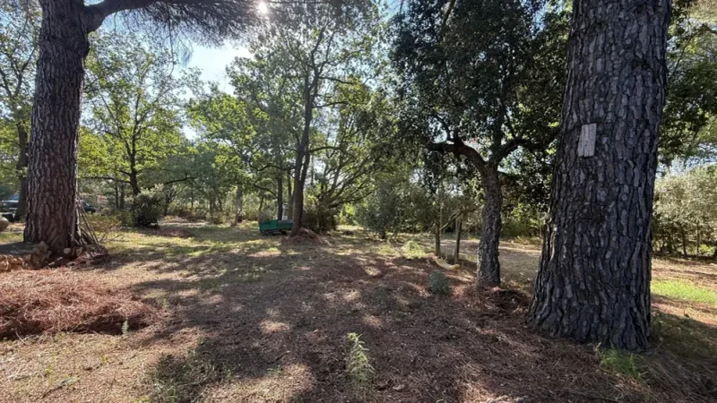Vente ensemble immobilier (Maison + Terrain constructible) - Photo 3