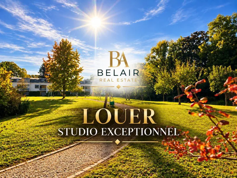 Appartement à louer, 1 pièces, Troinex