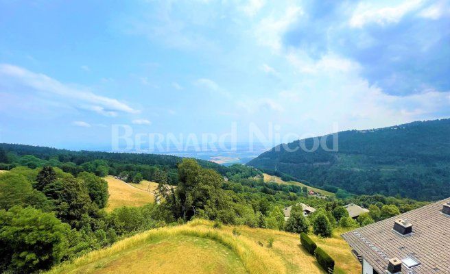 Appartement de 3.5 pièces en duplex dans les combles avec balcon