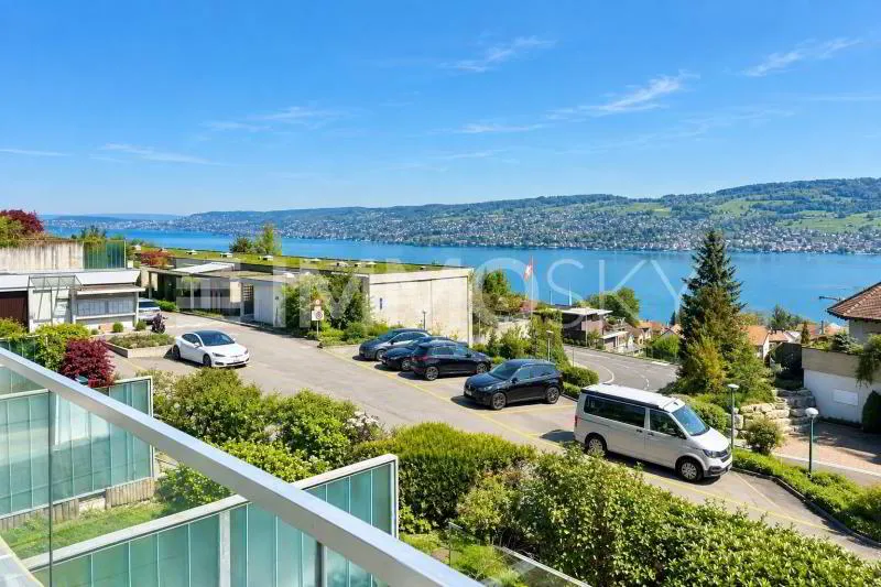 Ihr neues Zuhause mit Panoramasicht von Zürich bis in die Alpen - Photo 5
