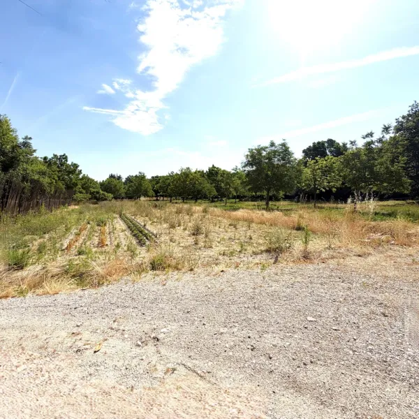 Alleins, maison de campagne 130m² sur 1,7hectares - Photo 3