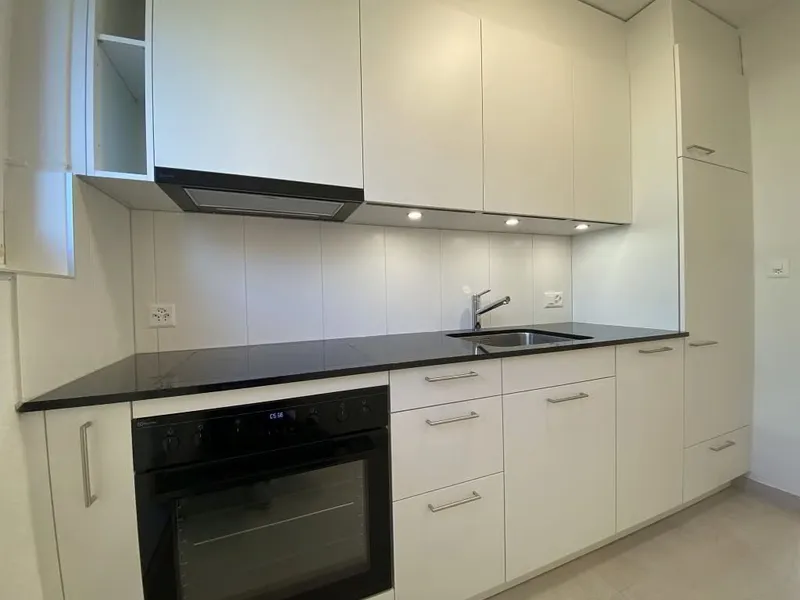 3 1/2-Zimmerwohnung, Parterre rechts - Photo 3