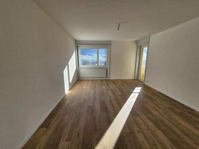 Fully renovated 4-room apartment on the 6th floor